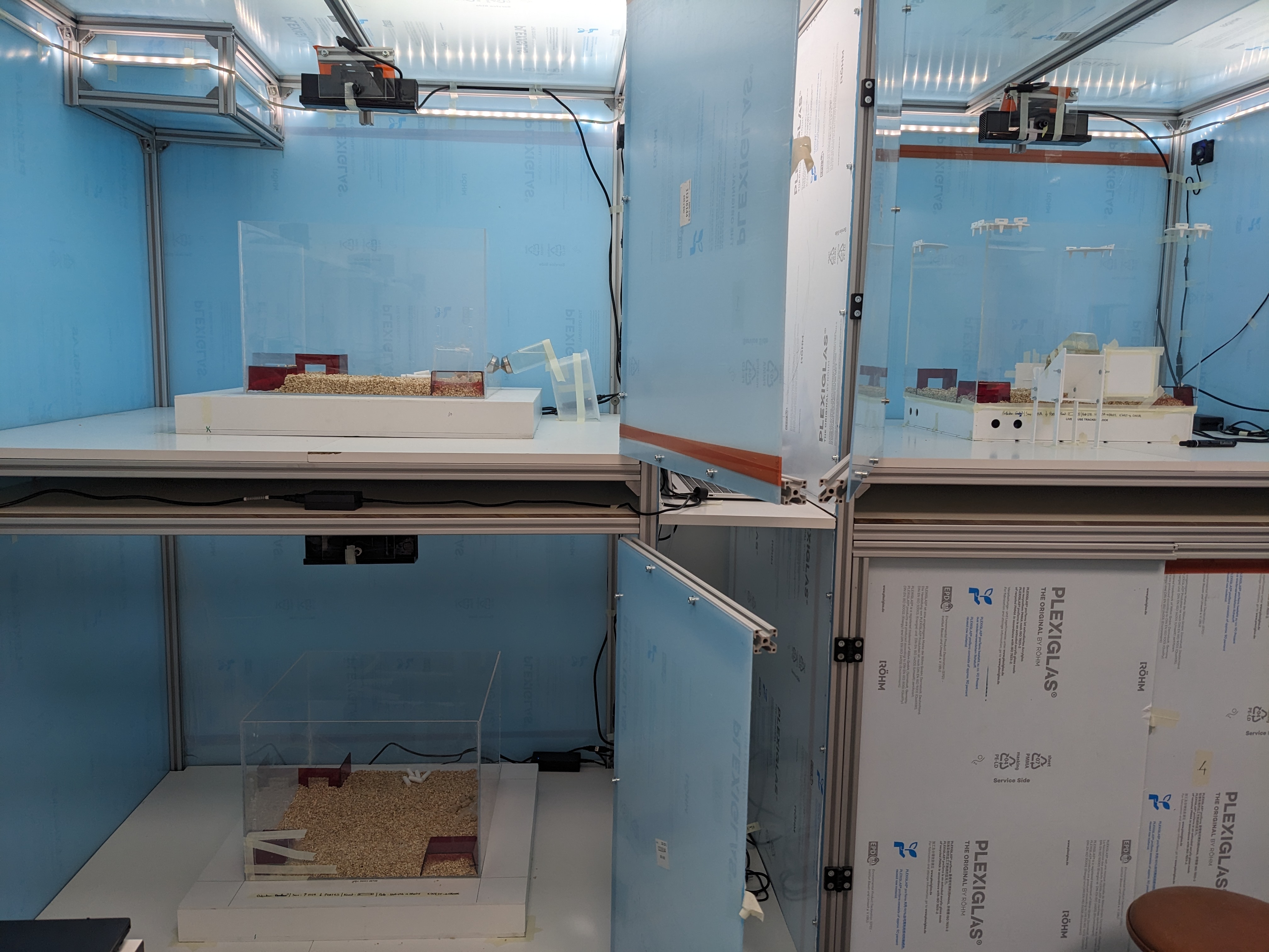 LMT Shelf, 4 setups in parallel
