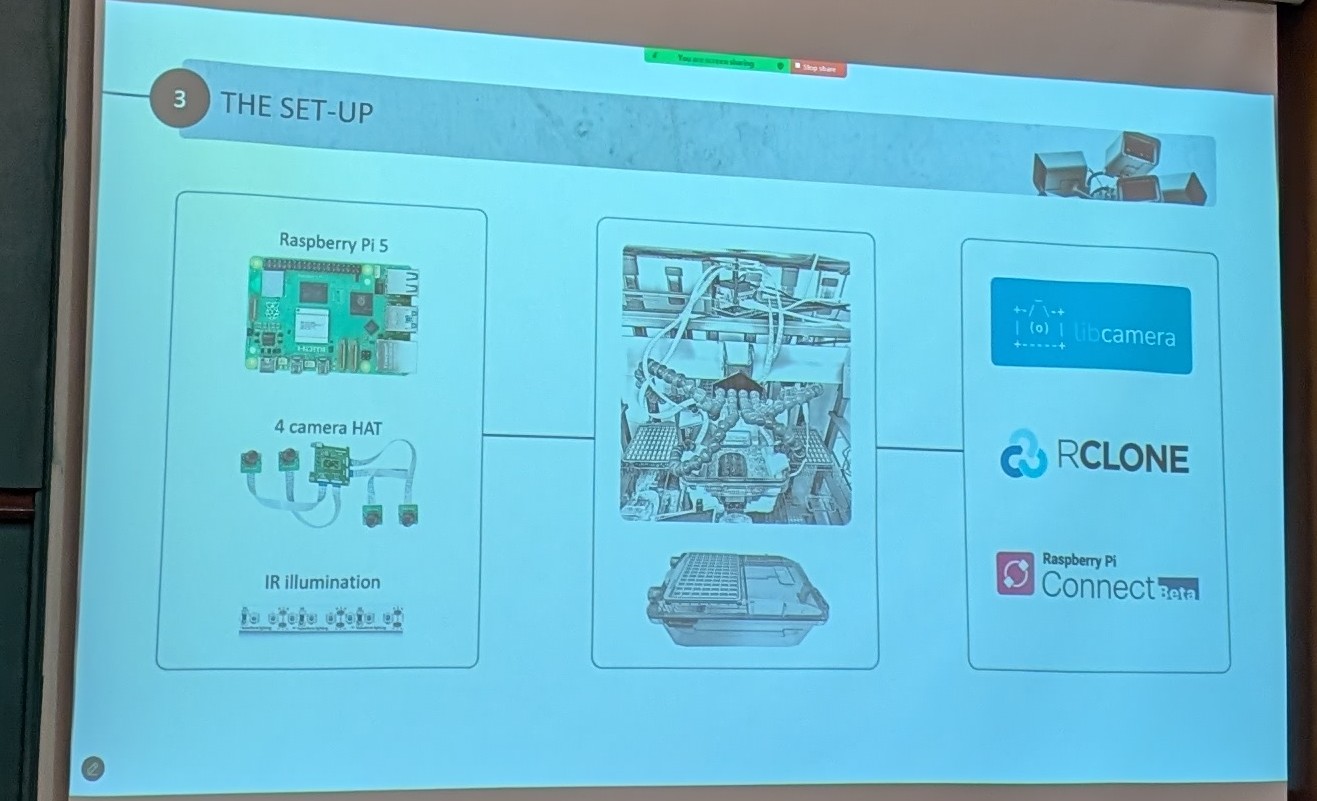 Dam and Pups tracking presentation